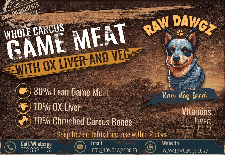 GameMeatStickerRGB